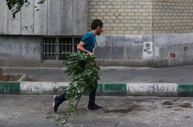 تداوم وزش باد شدید در تهران تا شنبه